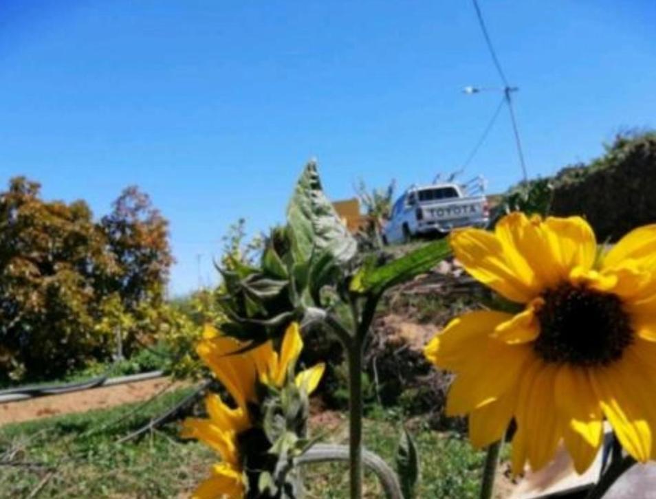 Refugio Secreto De Green Village Fasnia Εξωτερικό φωτογραφία